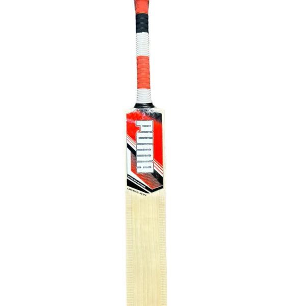 Puma Liberate Play English Willow Cricket Bat Size SH