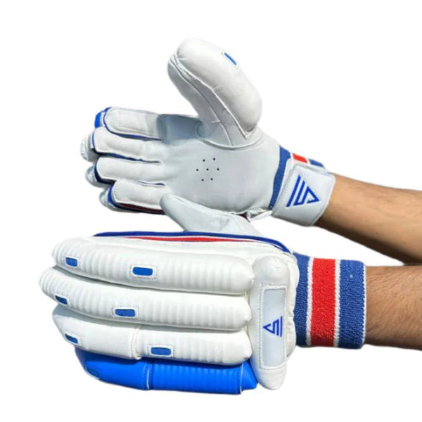 Versant Goat Series Red Cricket Batting Gloves Regular price