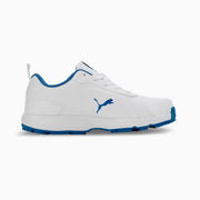 Puma Classicat 107807 03 Cricket Rubber Shoes White Royal