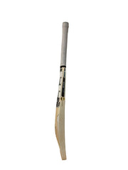 SS Player Finn Allen English Willow Cricket Bat Size Harrow