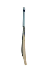 DSC Blu Player Edition English Willow Cricket Bat Short Handle