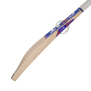 Ceat Hitman Player Edition English Willow Cricket Bat Short Handle - Indian Cricket Store