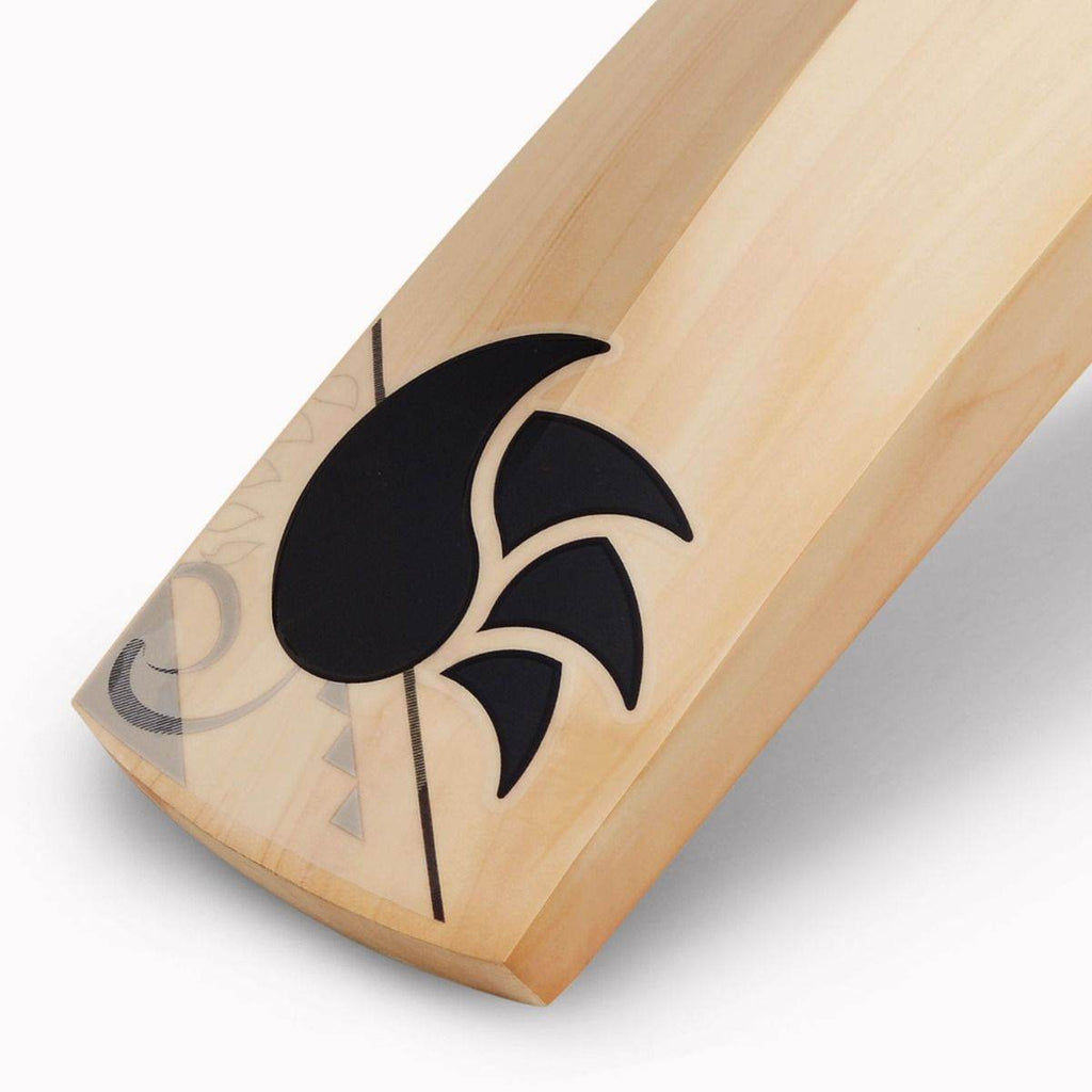 DSC BLAK Pro English Willow Bat - Indian Cricket Store