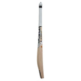 DSC Condor Flite English Willow Cricket Bat Short Handle - Indian Cricket Store