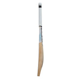 DSC Condor Flite English Willow Cricket Bat Short Handle - Indian Cricket Store