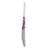 DSC Krunch 9.0 English Willow Cricket Bat - Indian Cricket Store