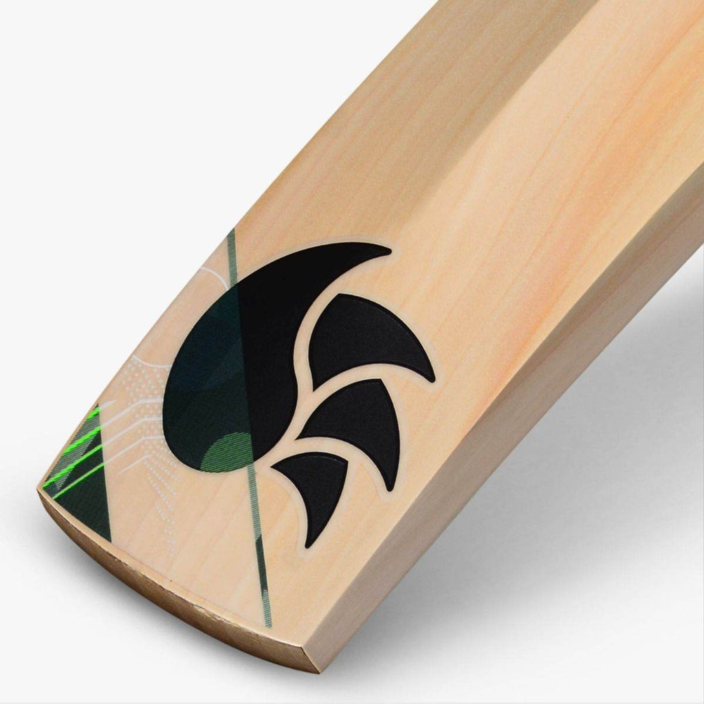 DSC Spliit Pro English Willow Bat - Indian Cricket Store