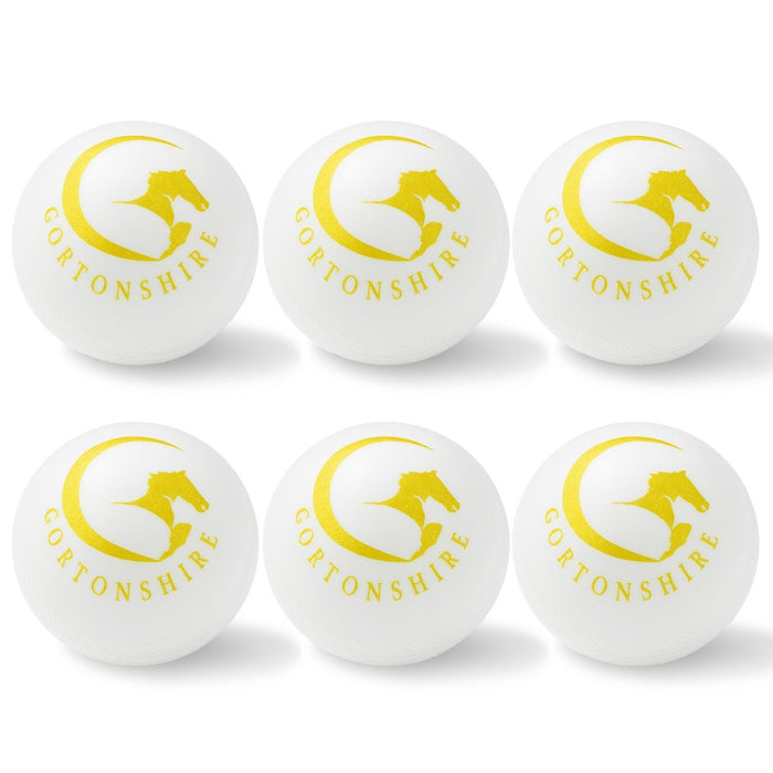 Gortonshire Cricket Plastic Ball White