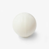 Gortonshire Cricket Plastic Ball White - Indian Cricket Store