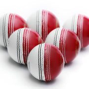 Gortonshire Red and White Leather Cricket Ball for Practice - Indian Cricket Store