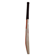 Gray Nicolls GN83 Scoop Edition English Willow Full Cricket Kit Short Handle - Indian Cricket Store