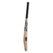 Gunn & Moore (GM) Aion 404 English Willow Cricket Bat - Indian Cricket Store