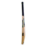 Gunn & Moore (GM) Aion 404 English Willow Cricket Bat - Indian Cricket Store