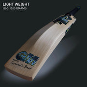Gunn & Moore (GM) Aion Player Edition English Willow Cricket Bat Size SH - Indian Cricket Store