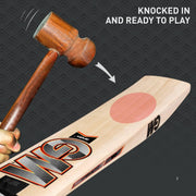 Gunn & Moore (GM) Rival 707 English Willow Cricket Bat Short Handle - Indian Cricket Store