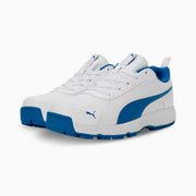 Puma Classicat 107807 03 Cricket Rubber Shoes White Royal - Indian Cricket Store