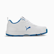 Puma Classicat 107807 03 Cricket Rubber Shoes White Royal - Indian Cricket Store