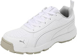 Puma Classicat 10780707 Cricket Rubber Shoes White Silver - Indian Cricket Store