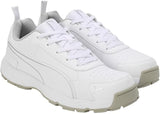 Puma Classicat 10780707 Cricket Rubber Shoes White Silver - Indian Cricket Store