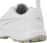 Puma Classicat 10780707 Cricket Rubber Shoes White Silver - Indian Cricket Store