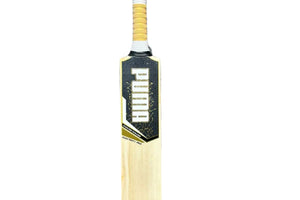 Kashmir Willow Cricket Bats