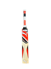 Puma Liberate Match English Willow Cricket Bat Size SH - Indian Cricket Store
