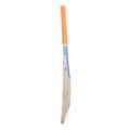 Reebok Blast Pro English Willow Cricket Bat Size SH - Indian Cricket Store