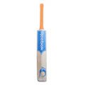 Reebok Blast Pro English Willow Cricket Bat Size SH - Indian Cricket Store