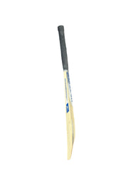 Reebok Blaze Cricket Kashmir Willow Bat - Indian Cricket Store