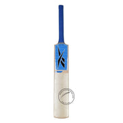 Reebok Blaze Kashmir Willow Complete Cricket Kit Without Helmet - Indian Cricket Store