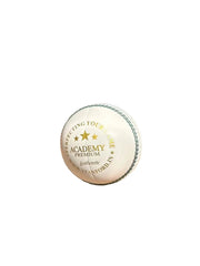 SF Academy Premium Cricket Ball Colour White - Indian Cricket Store