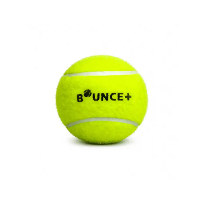 SG Bounce Plus Lite Cricket Ball Pack of 6