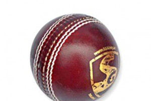 Junior Cricket Balls