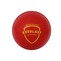 SG Everlast synthetic weatherproof polyurethane Cricket Ball (Red) - Indian Cricket Store