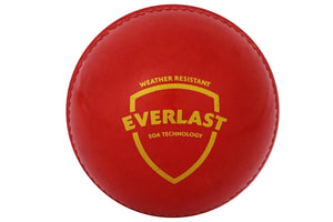 Soft Cricket Balls