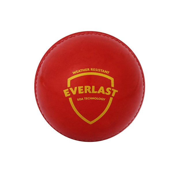 SG Everlast synthetic weatherproof polyurethane Cricket Ball (Red)