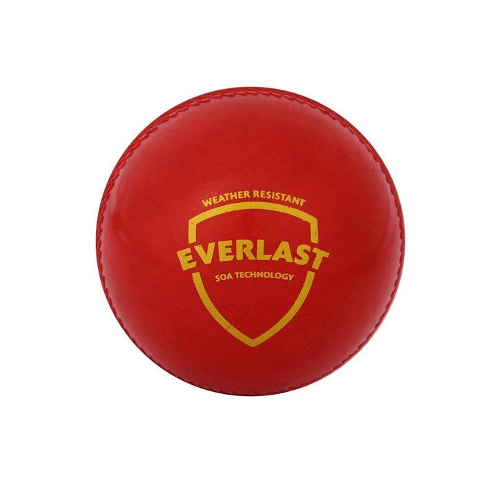 SG Everlast synthetic weatherproof polyurethane Cricket Ball (Red)