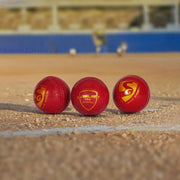 SG Everlast Tec Cricket Ball Red Pack of 3 - Indian Cricket Store