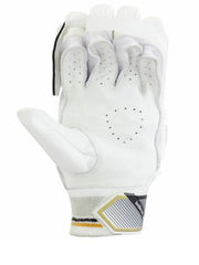 SG HP Armour Cricket Batting Gloves - Indian Cricket Store