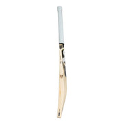 SG HP T20 English Willow Cricket Bat Short Handle - Indian Cricket Store