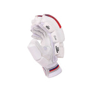 SG R 17 Cricket Batting Gloves - Indian Cricket Store