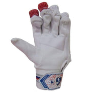 SG RP Ecolite Cricket Batting Gloves - Indian Cricket Store