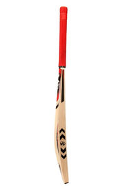 SG RSD Select English Willow Cricket Bat - Indian Cricket Store
