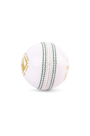 SG Shield 30 Cricket Ball colour White - Indian Cricket Store