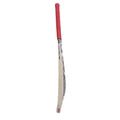 SG Sierra Plus Kashmir Willow Cricket Bat Size - Indian Cricket Store