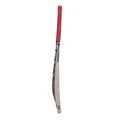 SG Sierra Plus Kashmir Willow Cricket Bat Size - Indian Cricket Store