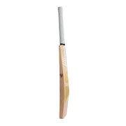 SG Sunny Legend English Willow Cricket Bat - Indian Cricket Store