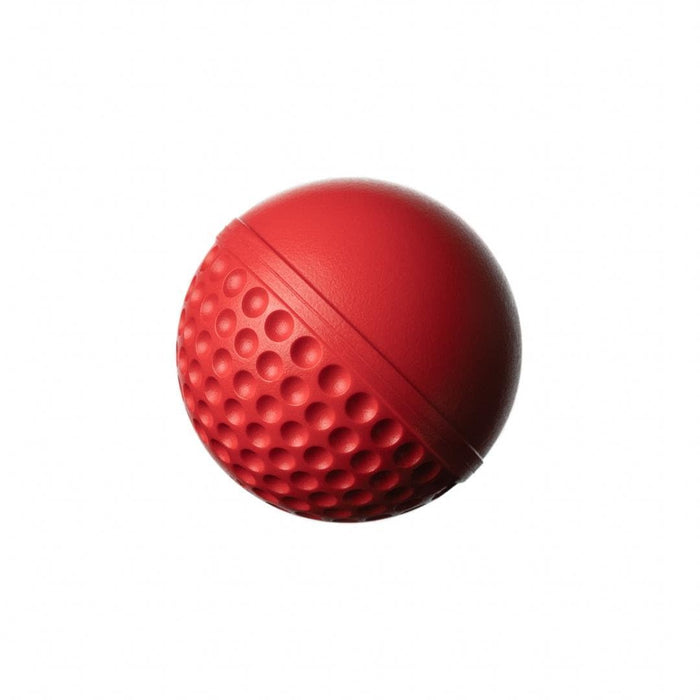 SG Swinga Cricket Ball Colour Red