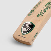 SG Titan 3.0 Kashmir Willow Cricket Bat Short Handle - Indian Cricket Store