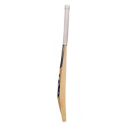 SG Triple Crown Xtreme English Willow Cricket Bat - Indian Cricket Store